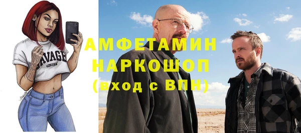 сатива Баксан