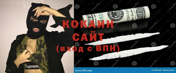 сатива Баксан