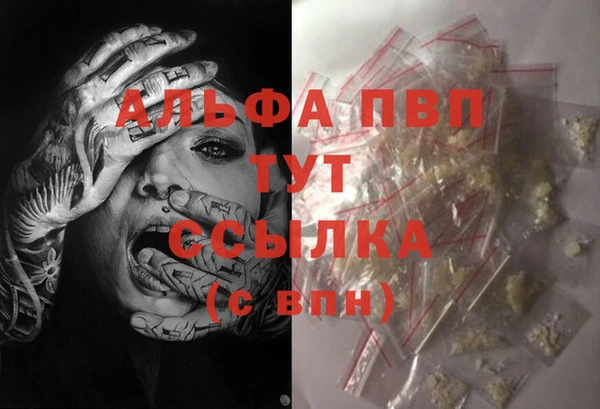 сатива Баксан