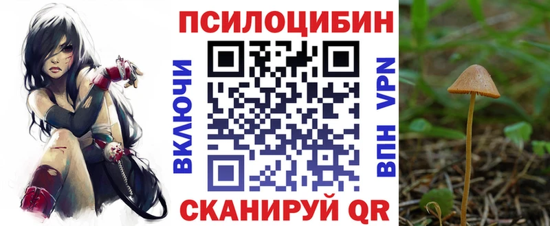 Псилоцибиновые грибы Cubensis  Купить  Окуловка 