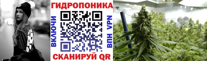Шишки марихуана сатива  Купить где  Окуловка 